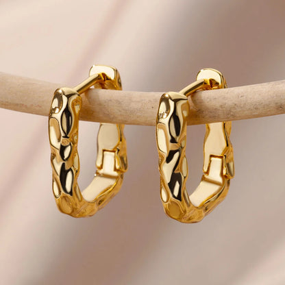 Stainless Steel Earring for Women Gold Color Hoop Earrings Gift