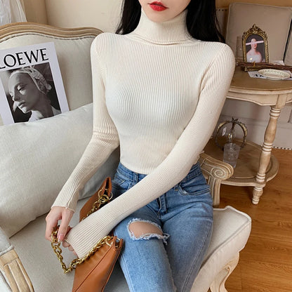 Cozy Fold Ribbed Turtleneck Sweater 2025