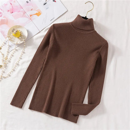 Cozy Fold Ribbed Turtleneck Sweater 2025