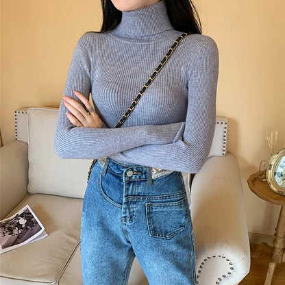 Cozy Fold Ribbed Turtleneck Sweater 2025