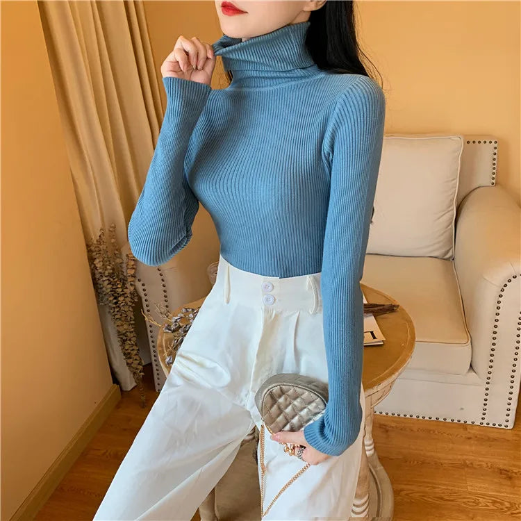 Cozy Fold Ribbed Turtleneck Sweater 2025