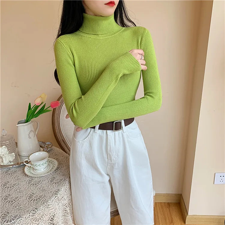 Cozy Fold Ribbed Turtleneck Sweater 2025