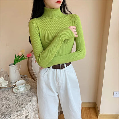 Cozy Fold Ribbed Turtleneck Sweater 2025