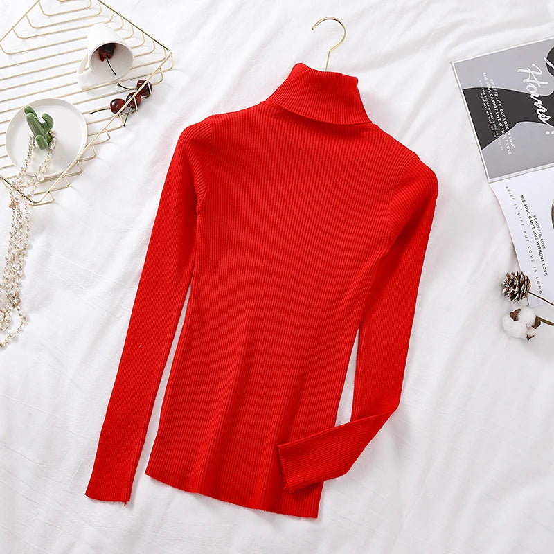 Cozy Fold Ribbed Turtleneck Sweater 2025