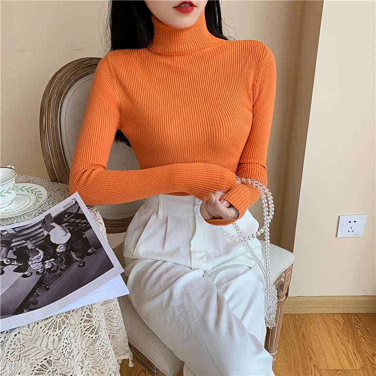 Cozy Fold Ribbed Turtleneck Sweater 2025