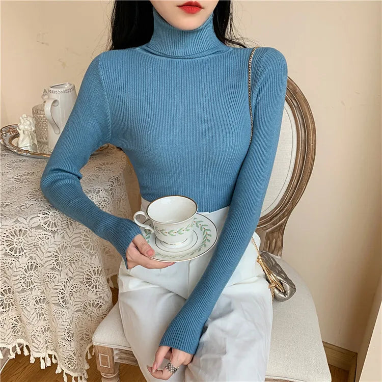 Cozy Fold Ribbed Turtleneck Sweater 2025