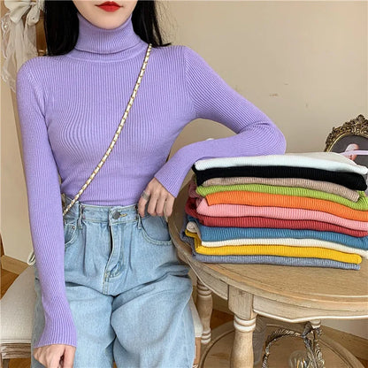 Cozy Fold Ribbed Turtleneck Sweater 2025