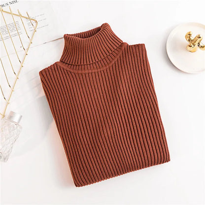 Cozy Fold Ribbed Turtleneck Sweater 2025