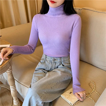 Cozy Fold Ribbed Turtleneck Sweater 2025