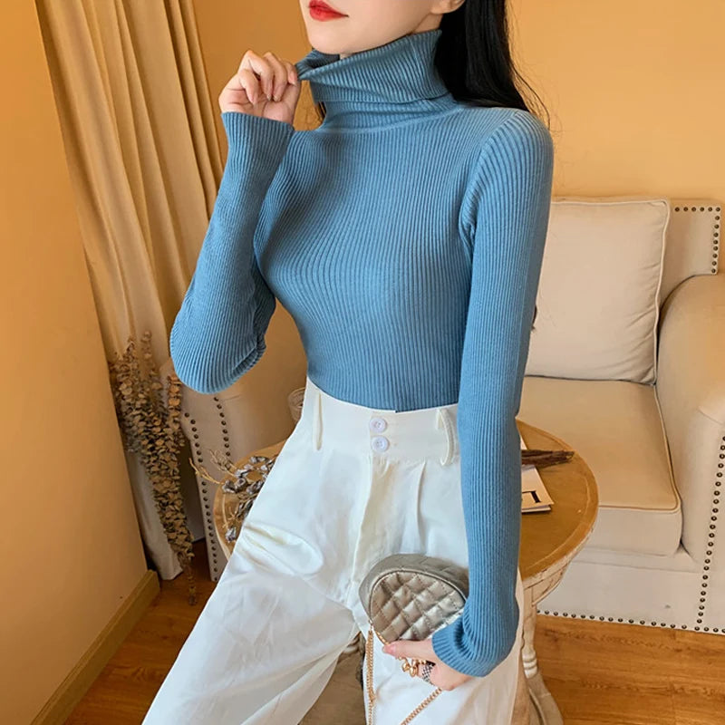 Cozy Fold Ribbed Turtleneck Sweater 2025