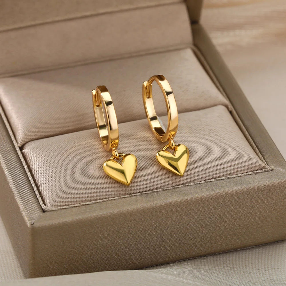 Stainless Steel Earring for Women Gold Color Hoop Earrings Gift