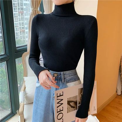 Cozy Fold Ribbed Turtleneck Sweater 2025