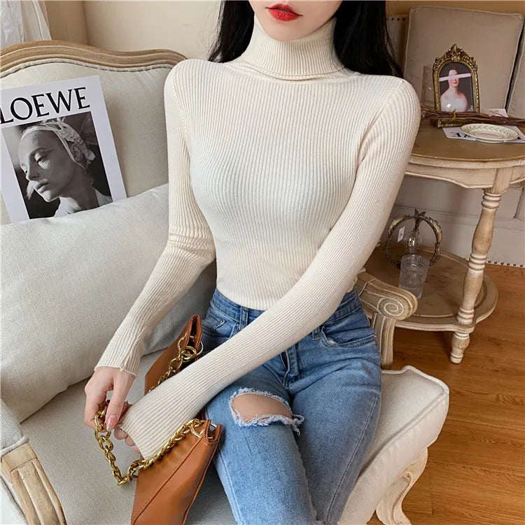 Cozy Fold Ribbed Turtleneck Sweater 2025